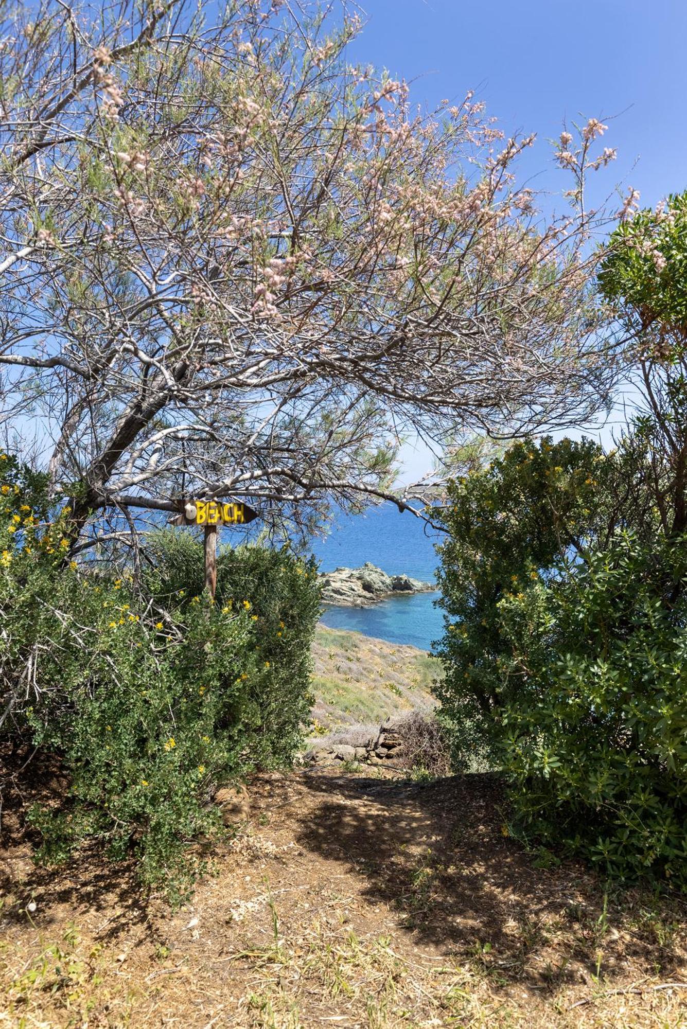 Aegean View - Seaside Apartment In Syros Azolimnos Eksteriør billede