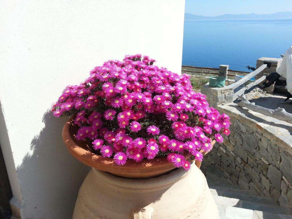 Aegean View - Seaside Apartment In Syros Azolimnos Eksteriør billede